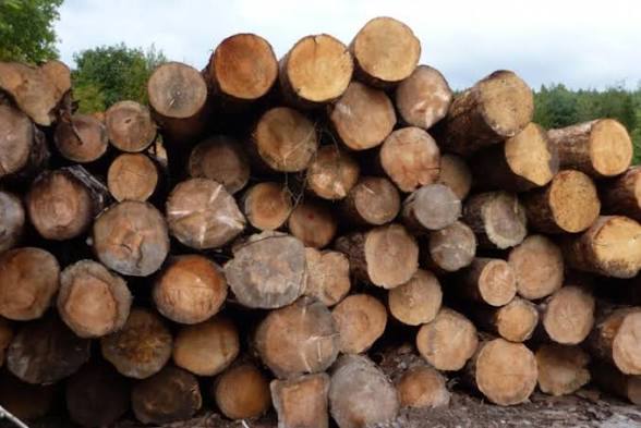 Tablones de madera
