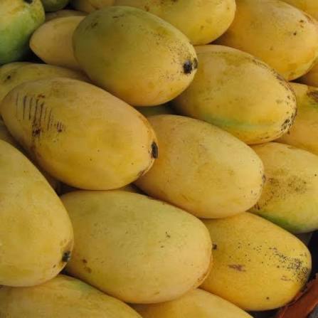 Mango Manila